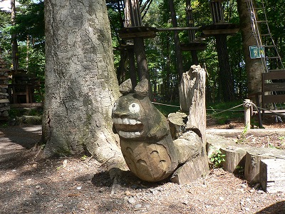 ルオムの森にトトロがいるよ