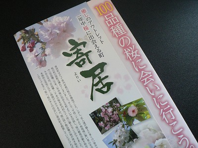 100品種の桜に会いに行こう。