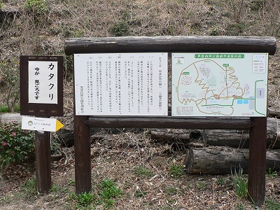 いいとこみっけ☆男衾自然公園