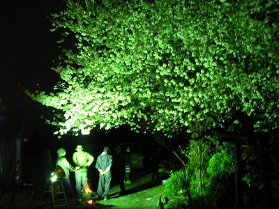 昼過ぎから夜桜までのお花見宴会