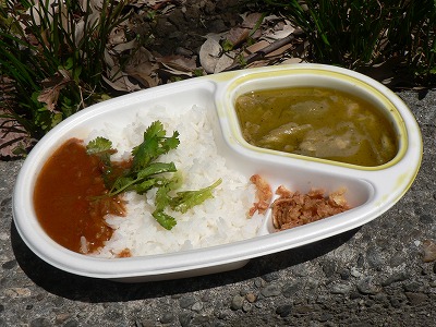 グリーンカレーでゴロゴロピー