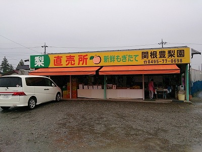 梨園にクルマが突っ込んだ？