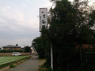 海の家風一休茶屋で一杯
