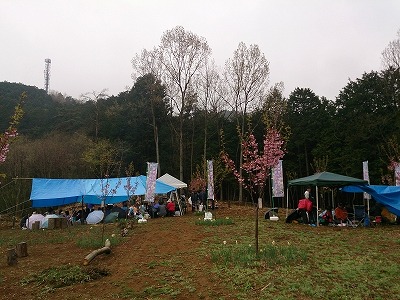 一年中桜に出会える町よりいのお...