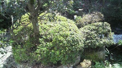 春の陽あふれています。。。