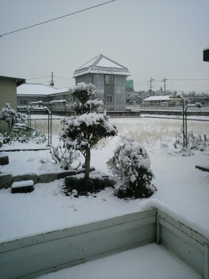 今朝の雪１２／２４