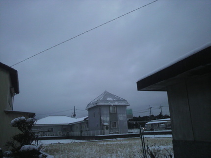 今朝の雪