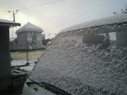 今朝の雪