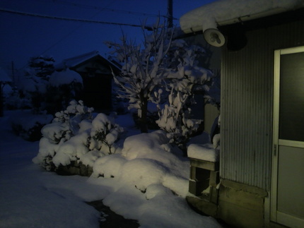 雪の朝