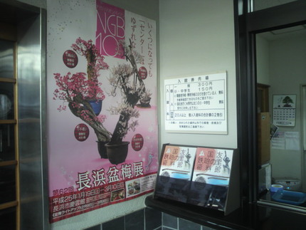 盆梅展