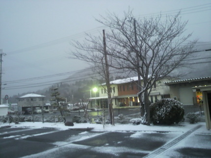 今日の雪