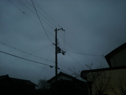 今朝の雨。