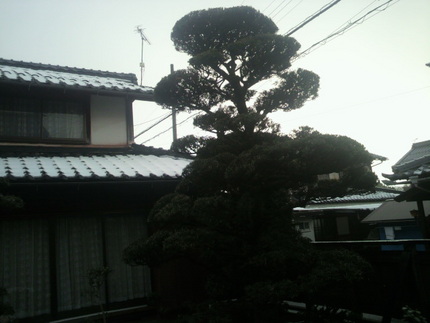 また雨少し。