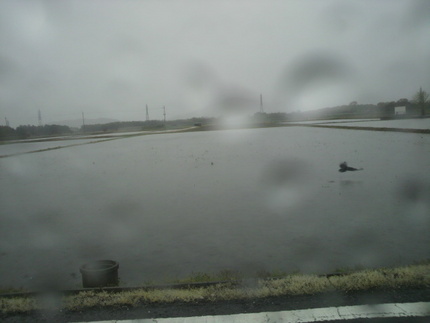 大雨