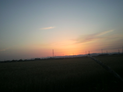 夕陽