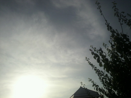 今朝の空