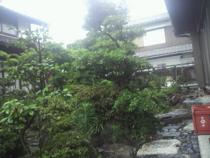 雨降り
