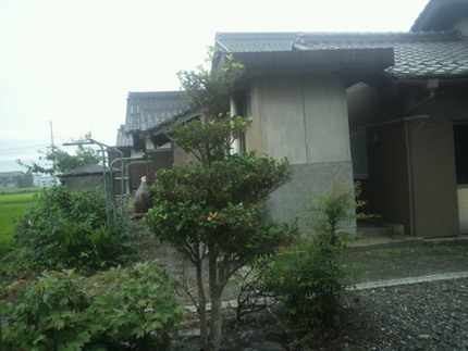 今朝の雨