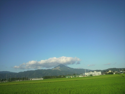 よく晴れました
