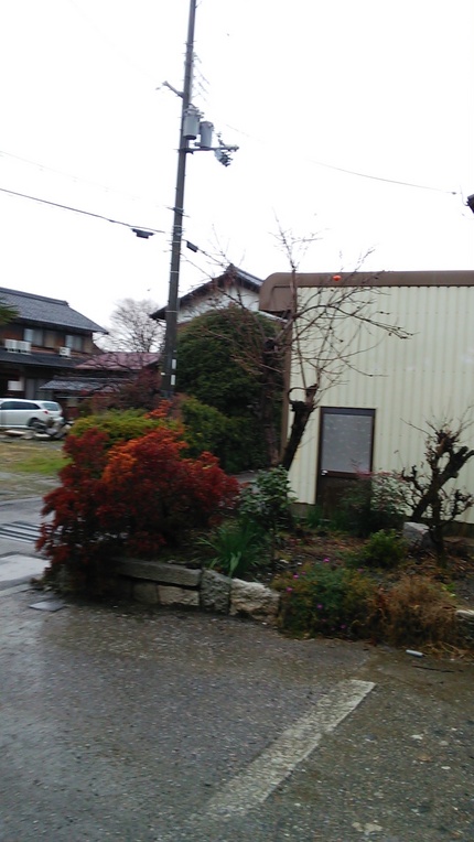雨の一日