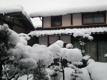 大雪警報発令中