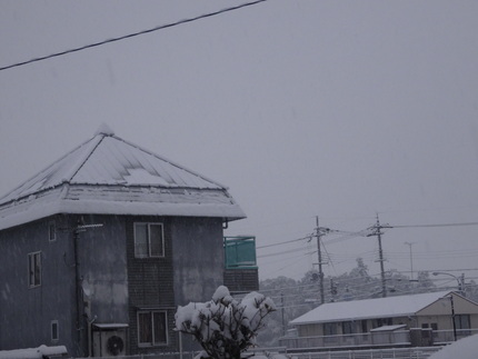 今朝の雪