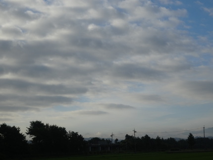 今朝の空