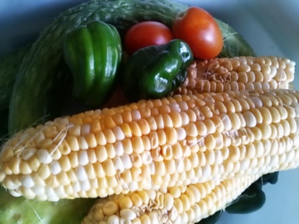 夏野菜