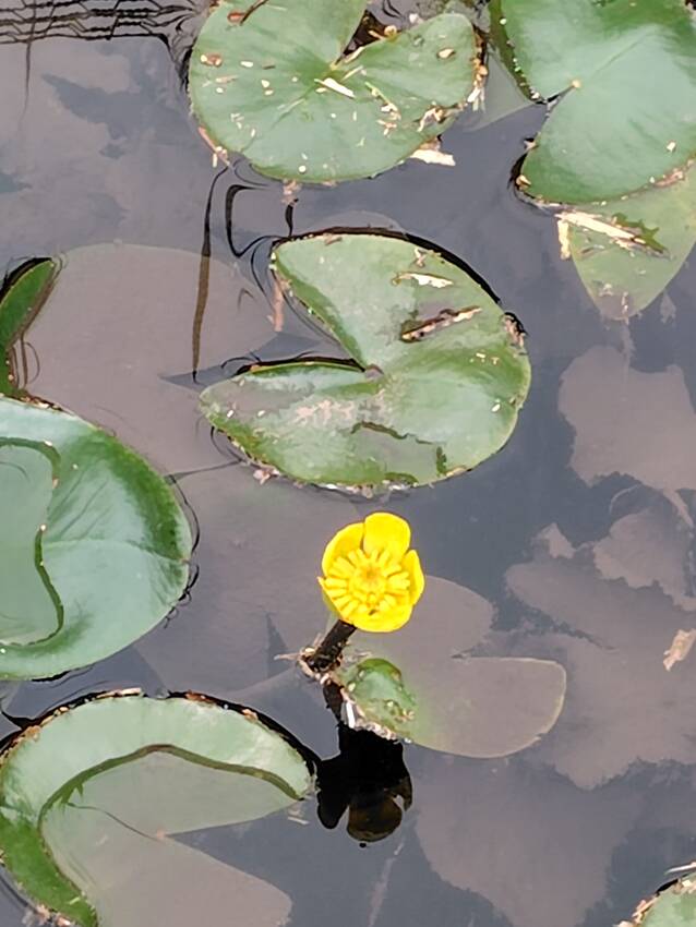 久しぶり