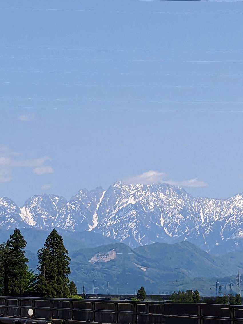 ５月になりました