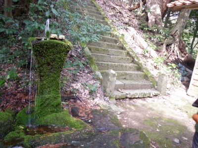 苔むした、もうけ神社への石段