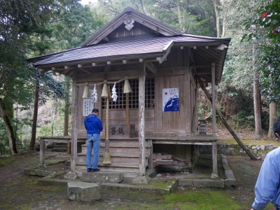 巨木に囲まれた、もうけ神社本殿...