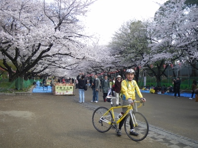 3月28日桜満開の上野公園。今...