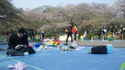 朝９時です。上野公園桜の下で今...