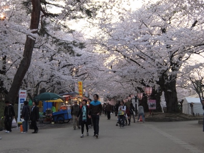 桜に酔う、って言うこと、本当で...