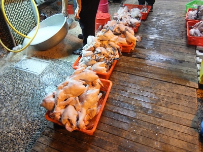 お店の看板もよく見えない、でも...