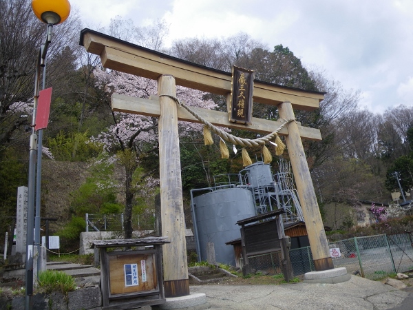 翌日は爆風で飛ぶこと出来ず、遠...