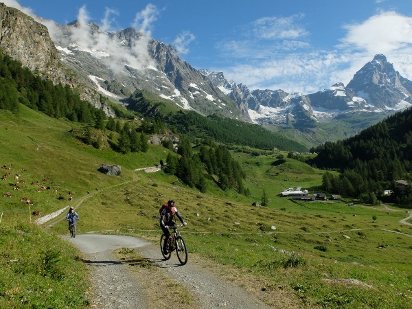 MTBの二人連れが漕ぎ上がって...