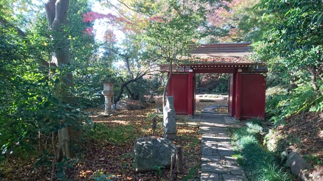 美術館内のお庭。ここは「赤門」