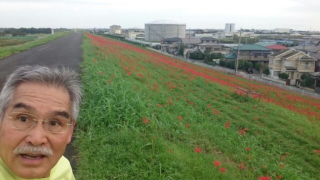 自宅から5kmほど走ると、荒川...