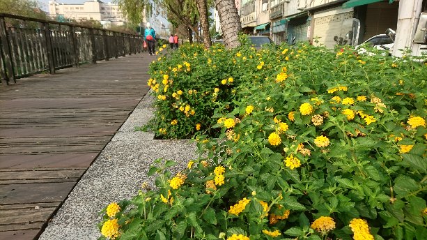 屏東市内を流れる川は、牛稠渓。...