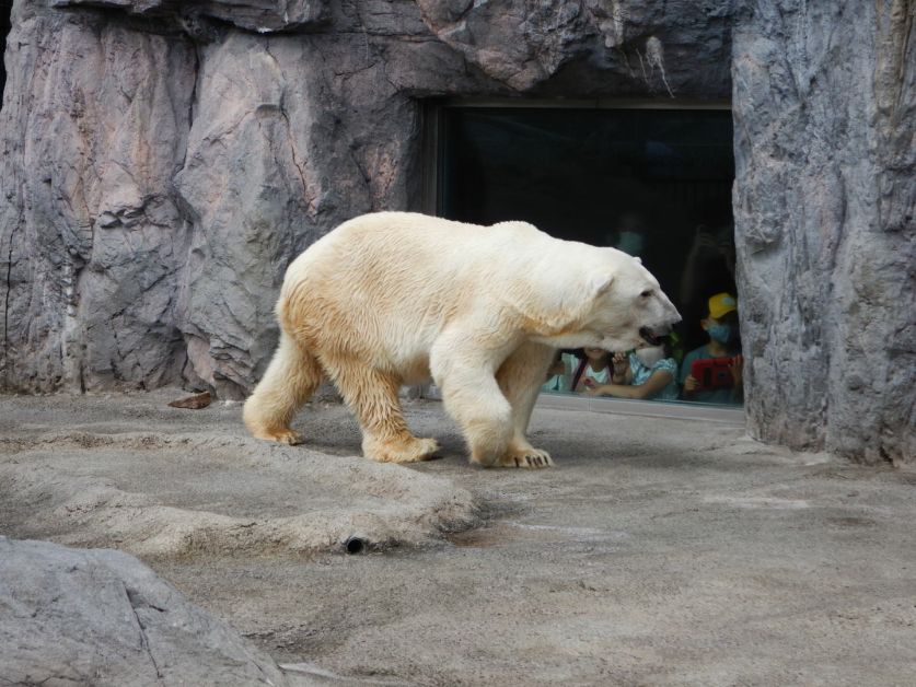 旭川市立旭山動物園 ハルのブログ Bloguru