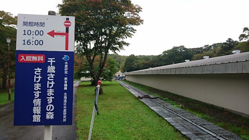 舗装道路から外れて、ちょい行く...