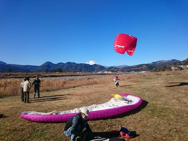飛べる風ではない。となれば地上...