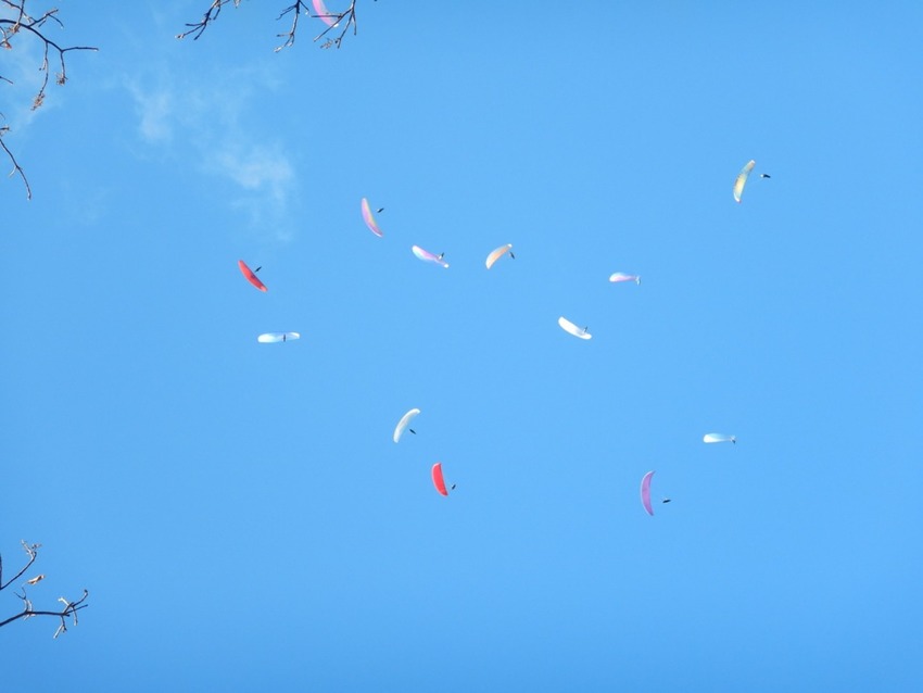 テイクオフ上空では、見事なガー...