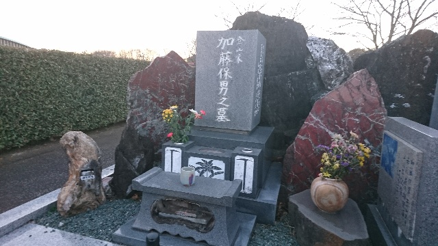 やっちゃんと僕は同い年。しかし...