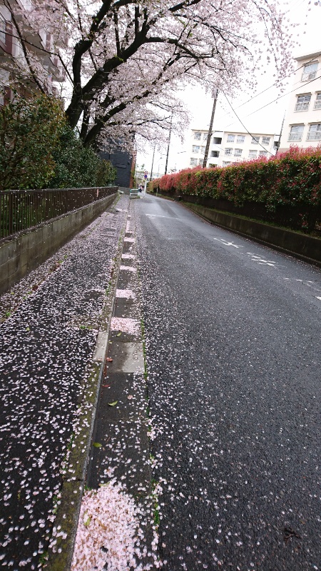 さいたま市の自宅近くで・・