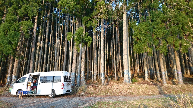 それがここ。余呉湖を見下ろす杉...