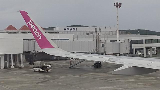 ピーチ航空で成田空港へ。今朝は...