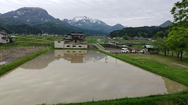 奥の山は雨飾山。田植え前の水田...